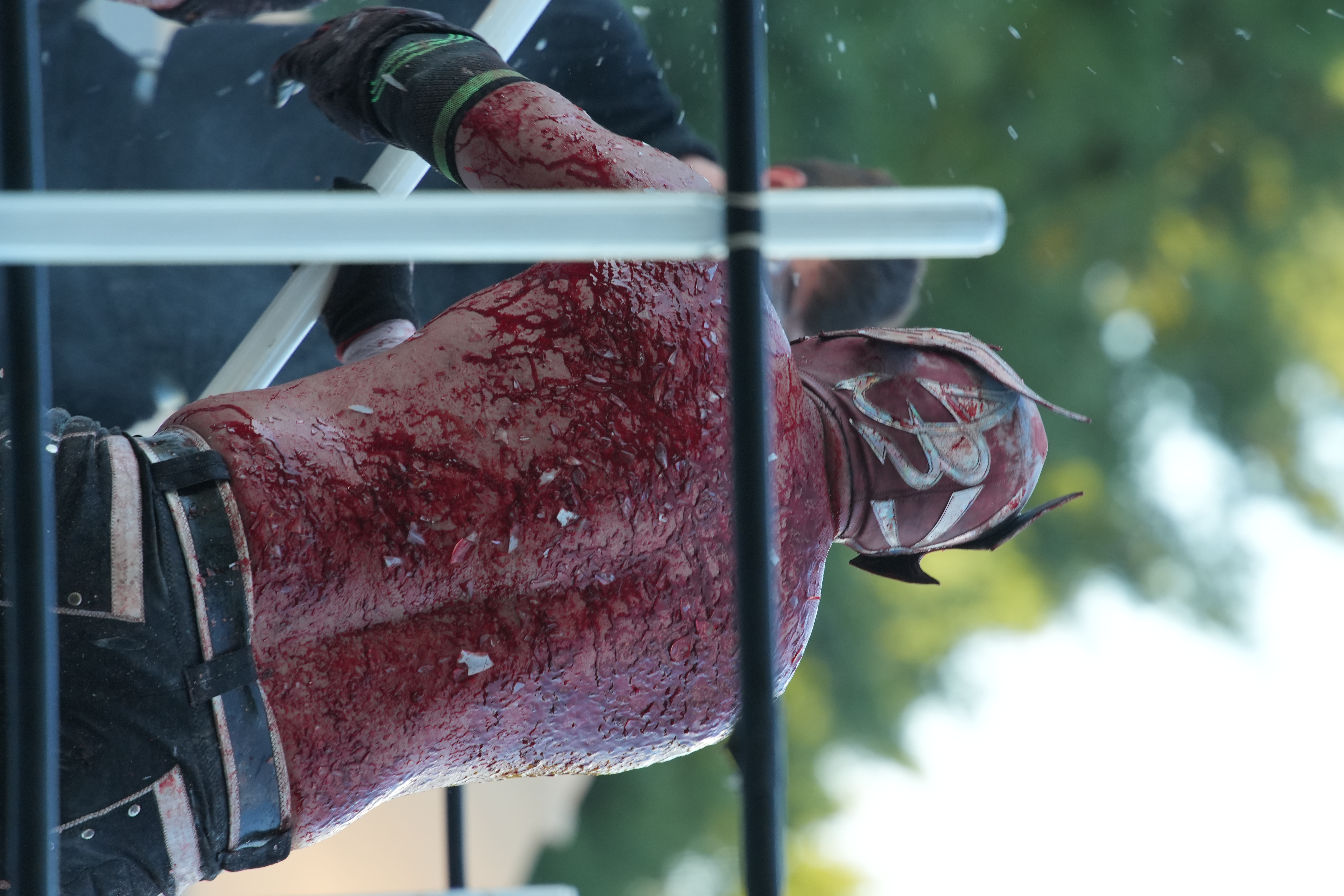 IMG_8507.JPG